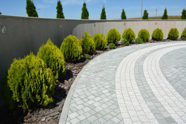 Best Driveway Paving Near Me  in Nedrow, NY